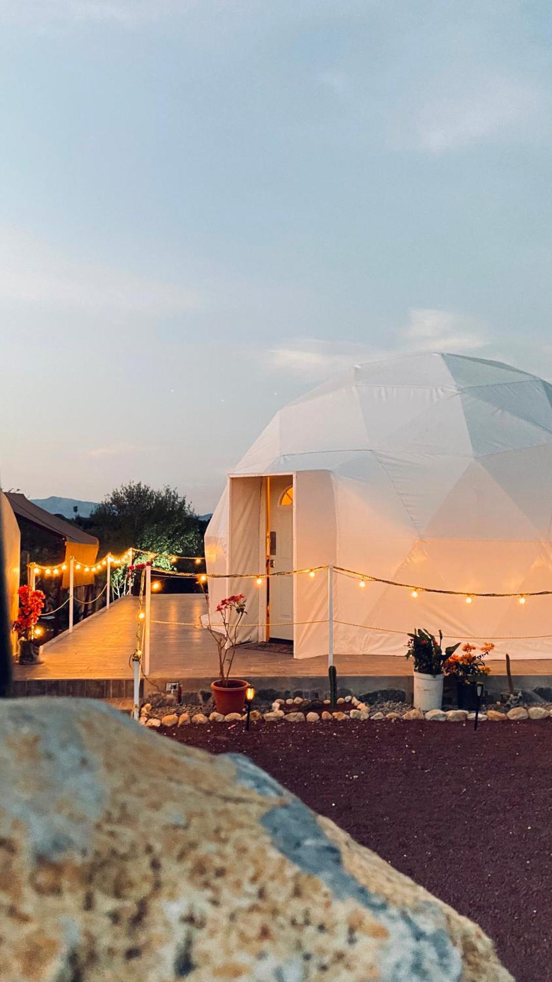 El Gato Glamping con vista a prismas basálticos Hotel Huasca de Ocampo Exterior foto