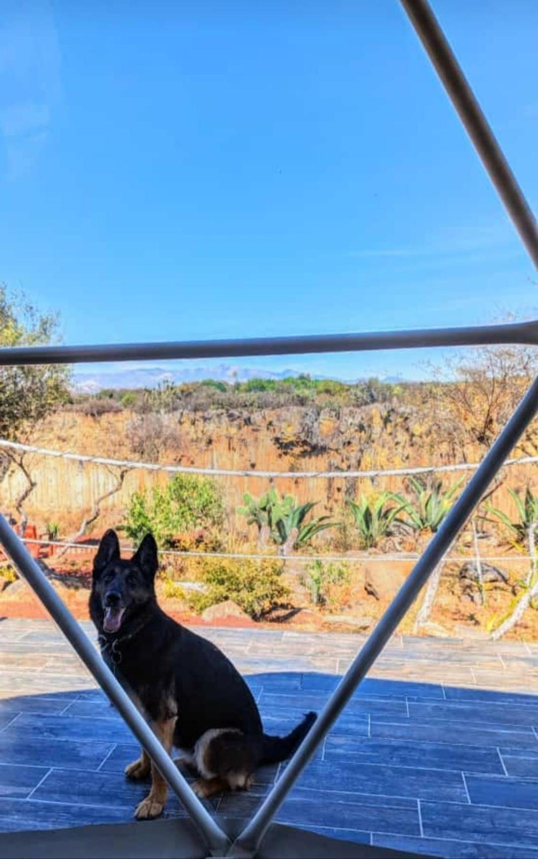 El Gato Glamping con vista a prismas basálticos Hotel Huasca de Ocampo Exterior foto